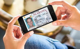 С 1 ноября начали выдавать электронное водительское удостоверение. Чего ждать?