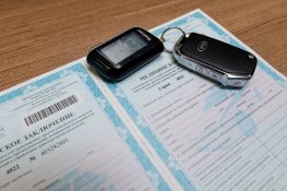 Водительская справка